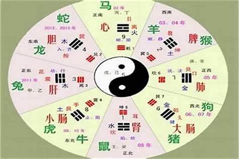 天上火命|八字納音五行解析——天上火